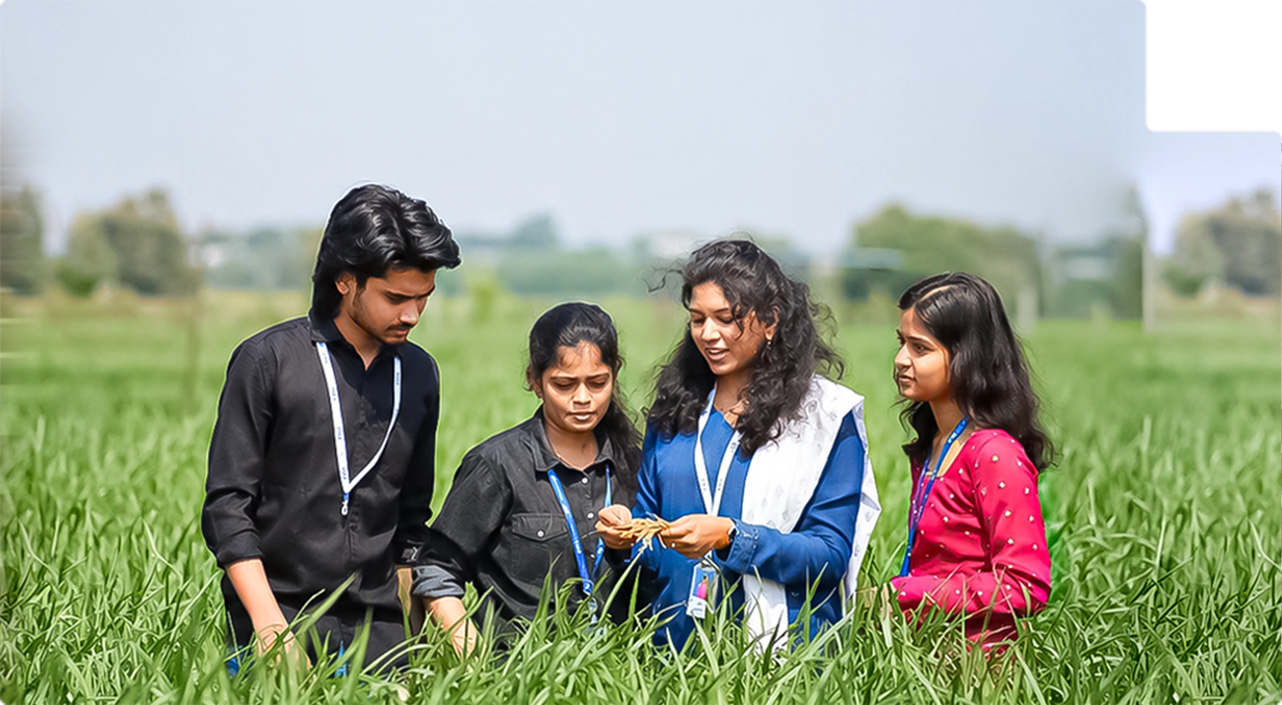 School Of Agriculture