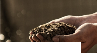 SR University School of Computer Science Engineering hosts annual hackathon, challenging students with real problems.